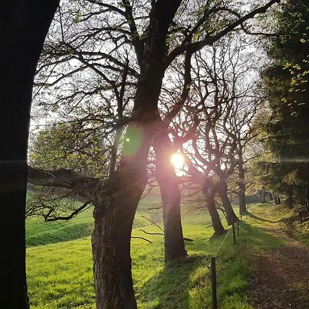 Zur Alten Baeckerei - Finsterbergen *