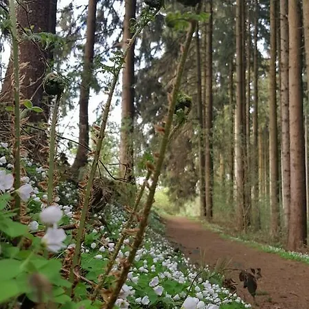 Apartmán Zur Alten Baeckerei - Finsterbergen Friedrichroda