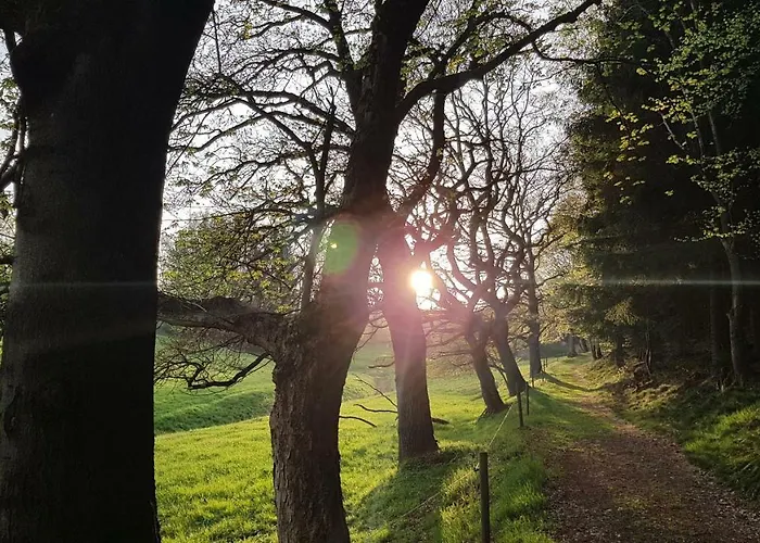 Zur Alten Baeckerei - Finsterbergen *